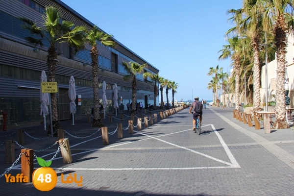 mina2 yaffaj343 (10).jpg